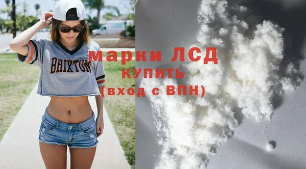 сатива Аркадак