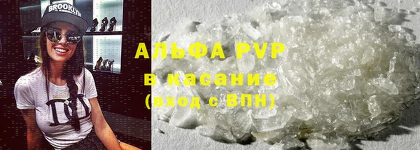 сатива Аркадак