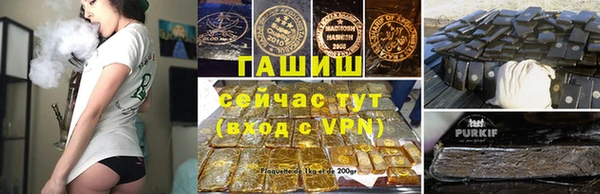 сатива Аркадак