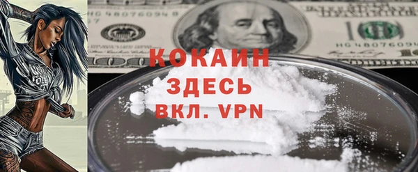 сатива Аркадак
