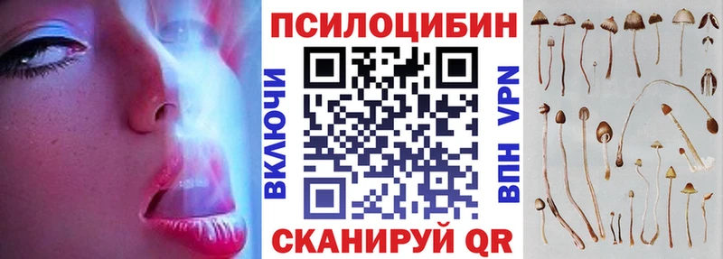 Псилоцибиновые грибы Cubensis  Павловский Посад 